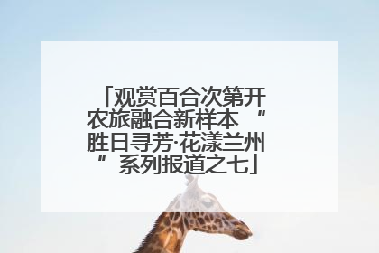 观赏百合次第开 农旅融合新样本 “胜日寻芳·花漾兰州”系列报道之七