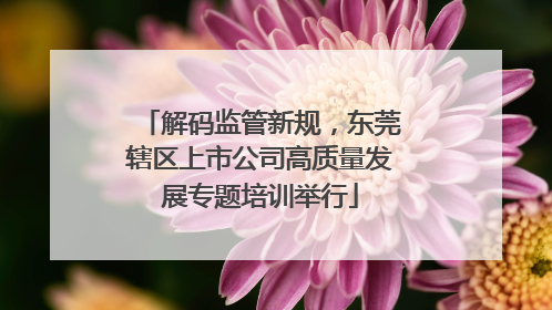 解码监管新规，东莞辖区上市公司高质量发展专题培训举行
