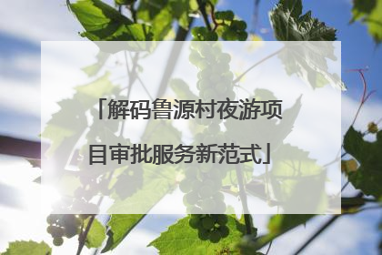 解码鲁源村夜游项目审批服务新范式