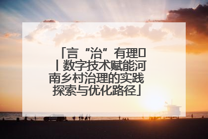 言“治”有理⑪丨数字技术赋能河南乡村治理的实践探索与优化路径