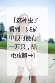 这种虫子看到一只家里很可能有一万只，除虫攻略→