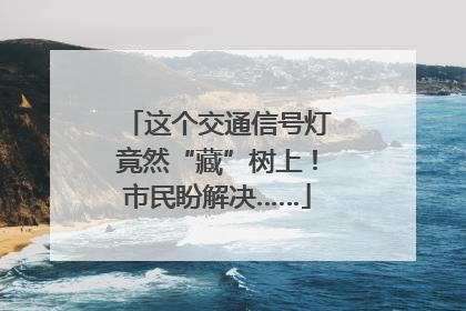 这个交通信号灯竟然“藏”树上！市民盼解决……