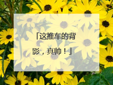 这推车的背影，真帅！