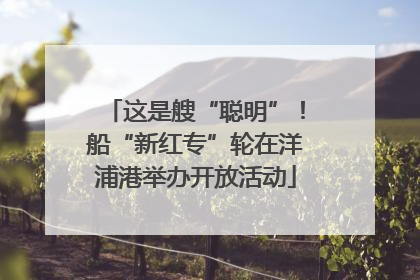 这是艘“聪明”！船“新红专”轮在洋浦港举办开放活动
