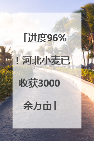 进度96%！河北小麦已收获3000余万亩