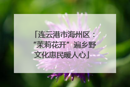 连云港市海州区：“茉莉花开”遍乡野 文化惠民暖人心