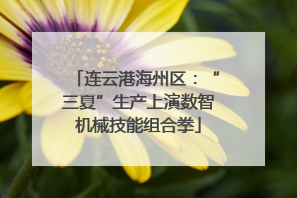 连云港海州区：“三夏”生产上演数智机械技能组合拳
