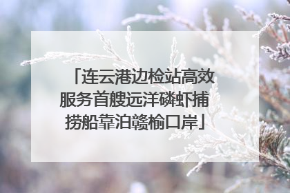 连云港边检站高效服务首艘远洋磷虾捕捞船靠泊赣榆口岸