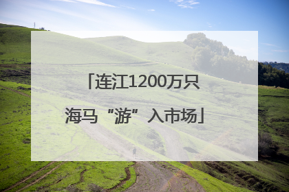 连江1200万只海马“游”入市场
