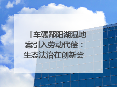 车碾鄱阳湖湿地案引入劳动代偿：生态法治在创新尝试｜有一说一