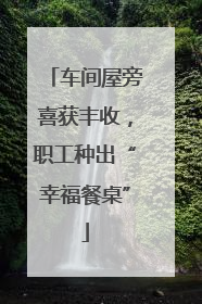 车间屋旁喜获丰收，职工种出“幸福餐桌”