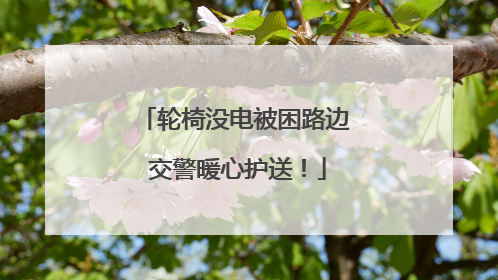 轮椅没电被困路边 交警暖心护送！