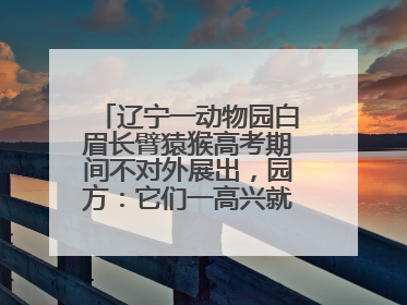 辽宁一动物园白眉长臂猿猴高考期间不对外展出，园方：它们一高兴就喜欢鸣叫，怕影响考试