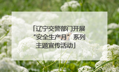 辽宁交警部门开展“安全生产月”系列主题宣传活动