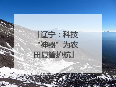辽宁：科技“神器”为农田夏管护航