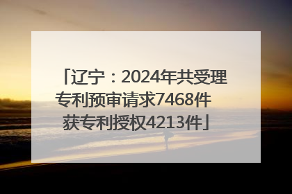 辽宁：2024年共受理专利预审请求7468件 获专利授权4213件