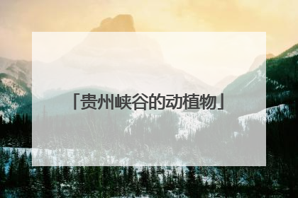 贵州峡谷的动植物