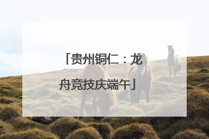 贵州铜仁：龙舟竞技庆端午