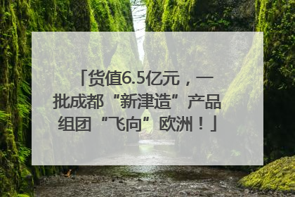 货值6.5亿元，一批成都“新津造”产品组团“飞向”欧洲！