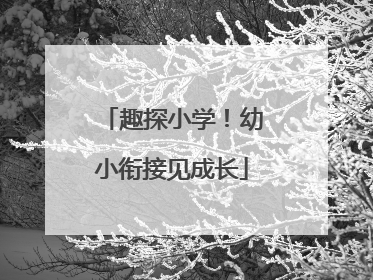 趣探小学！幼小衔接见成长