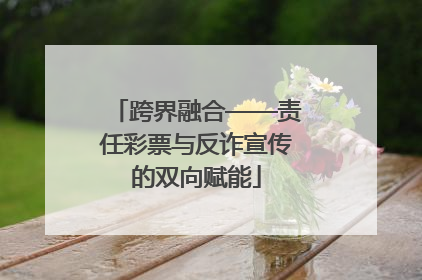 跨界融合——责任彩票与反诈宣传的双向赋能