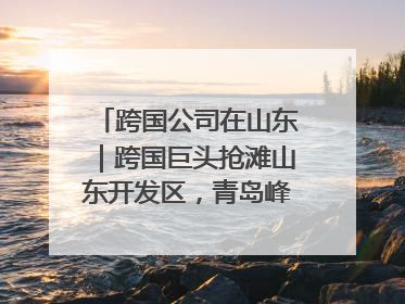 跨国公司在山东｜跨国巨头抢滩山东开发区，青岛峰会拉开帷幕