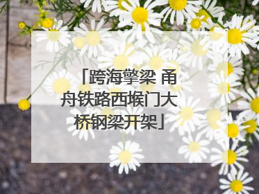 跨海擎梁 甬舟铁路西堠门大桥钢梁开架