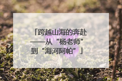 跨越山海的奔赴——从“杨老师”到“海河阿帕”
