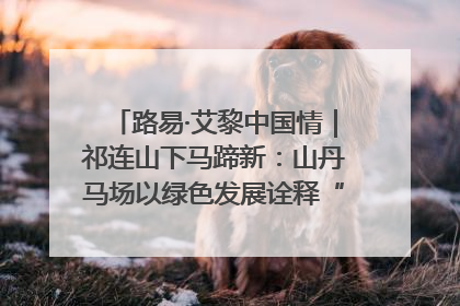 路易·艾黎中国情｜祁连山下马蹄新：山丹马场以绿色发展诠释“两山”理论实践