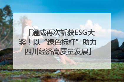 通威再次斩获ESG大奖！以“绿色标杆”助力四川经济高质量发展