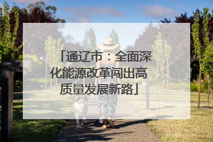 通辽市：全面深化能源改革闯出高质量发展新路