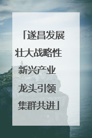 遂昌发展壮大战略性新兴产业 龙头引领 集群共进