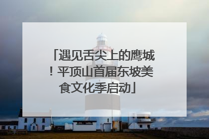 遇见舌尖上的鹰城！平顶山首届东坡美食文化季启动