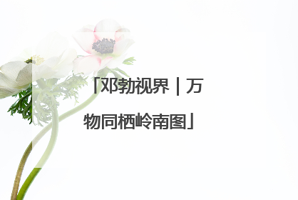邓勃视界｜万物同栖岭南图
