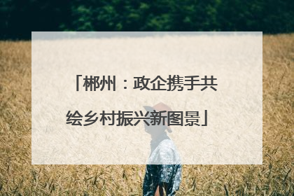郴州：政企携手共绘乡村振兴新图景