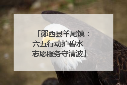郧西县羊尾镇：六五行动护碧水 志愿服务守清波