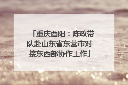 重庆酉阳：陈政带队赴山东省东营市对接东西部协作工作