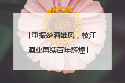 重振楚酒雄风，枝江酒业再续百年辉煌
