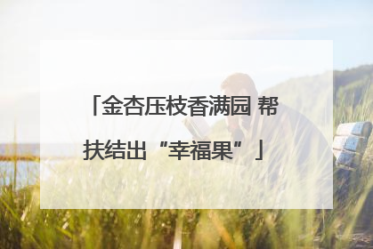 金杏压枝香满园 帮扶结出“幸福果”