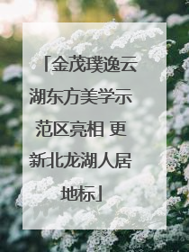 金茂璞逸云湖东方美学示范区亮相 更新北龙湖人居地标