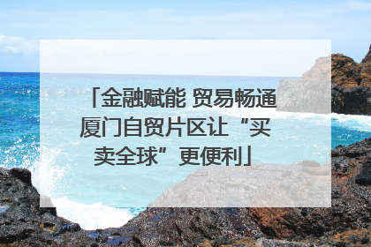金融赋能 贸易畅通 厦门自贸片区让“买卖全球”更便利