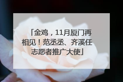 金鸡，11月厦门再相见！范丞丞、齐溪任志愿者推广大使
