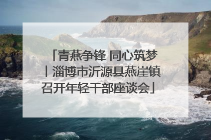 青燕争锋 同心筑梦丨淄博市沂源县燕崖镇召开年轻干部座谈会