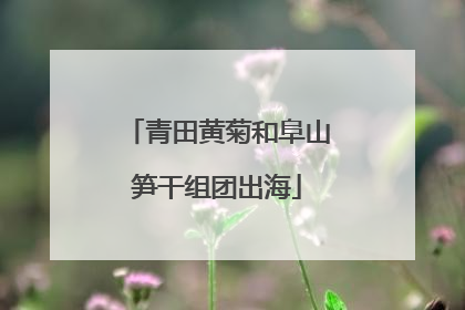 青田黄菊和阜山笋干组团出海