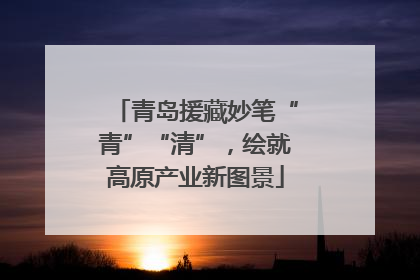 青岛援藏妙笔“青”“清”，绘就高原产业新图景
