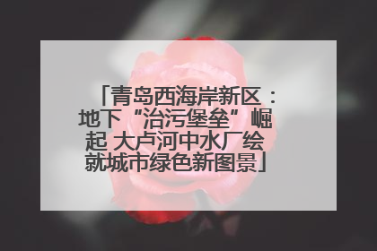 青岛西海岸新区：地下“治污堡垒”崛起 大卢河中水厂绘就城市绿色新图景