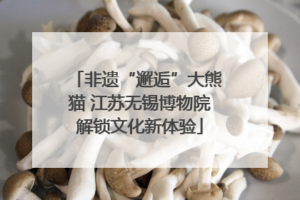 非遗“邂逅”大熊猫 江苏无锡博物院解锁文化新体验