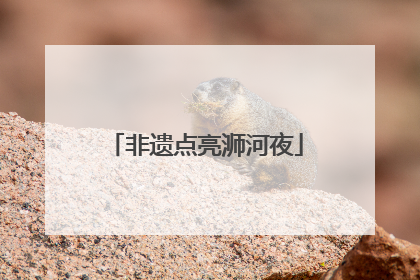 非遗点亮浉河夜
