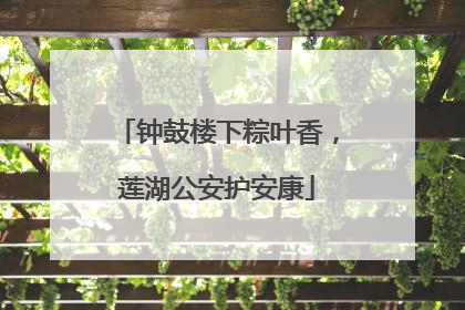 钟鼓楼下粽叶香，莲湖公安护安康
