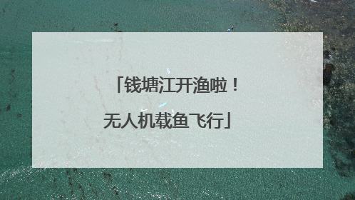 钱塘江开渔啦！无人机载鱼飞行